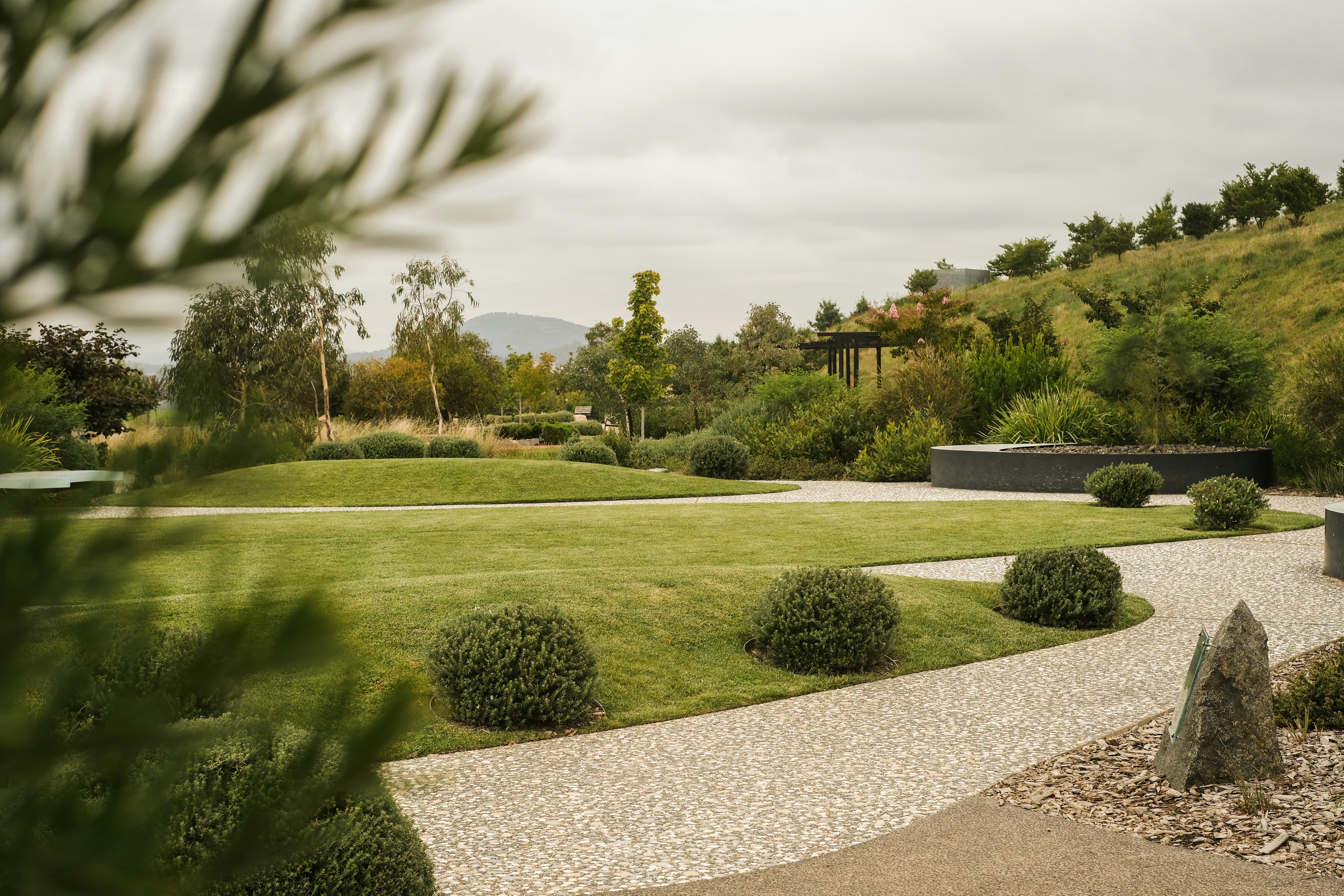 Completed landscaping project in residential backyard