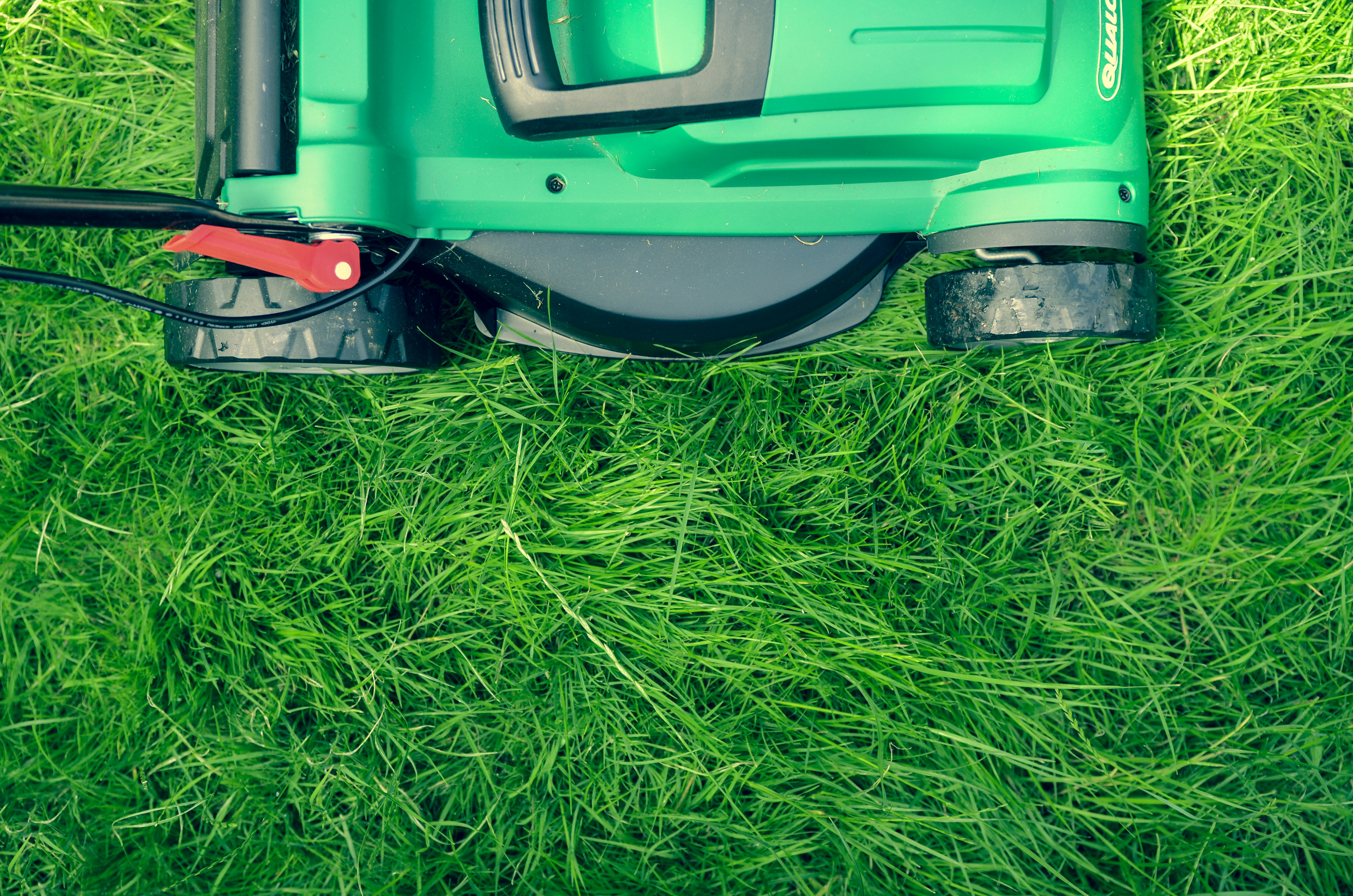 Freshly mowed and edged lawn