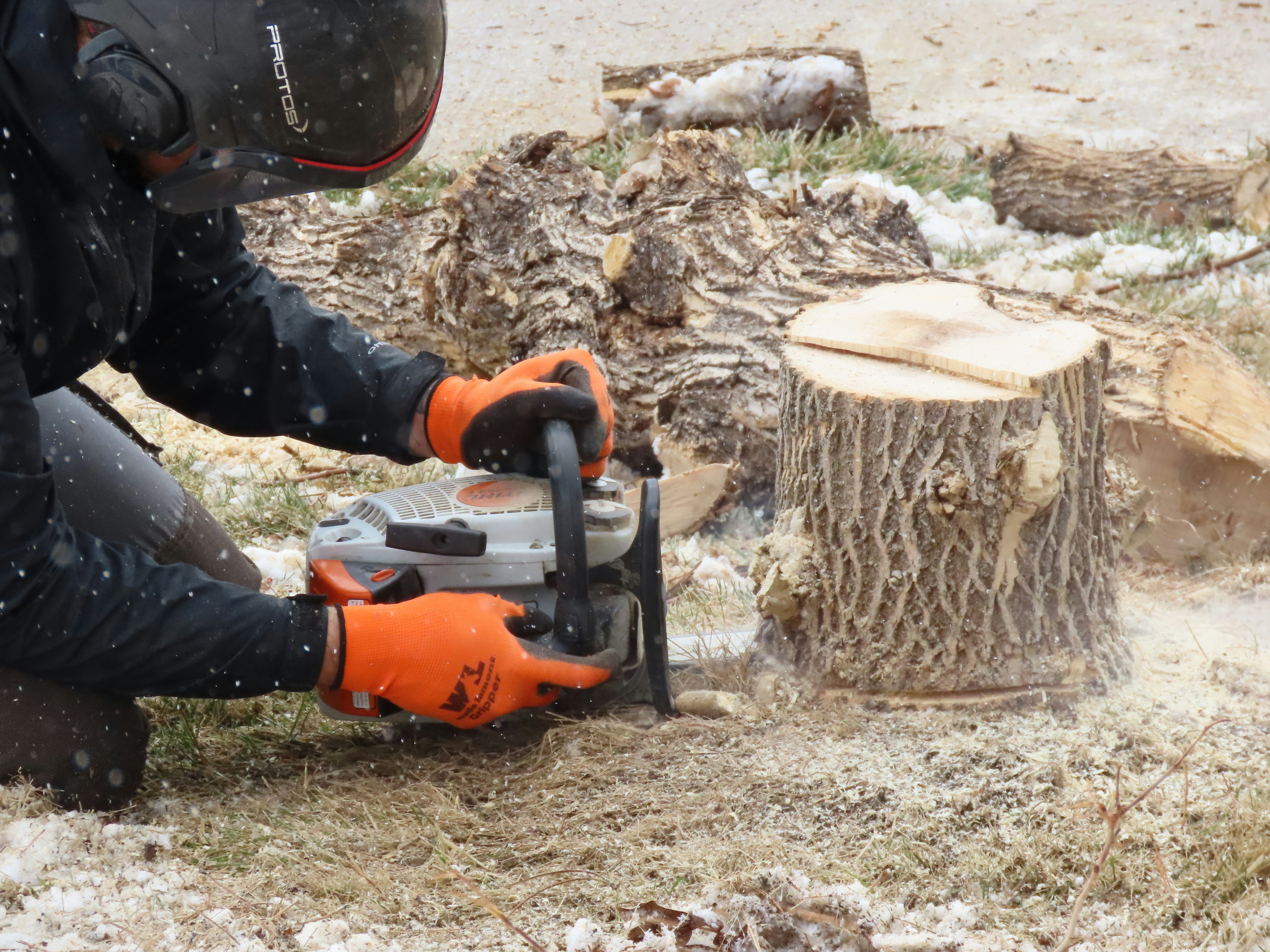 Stump grinding and removal service